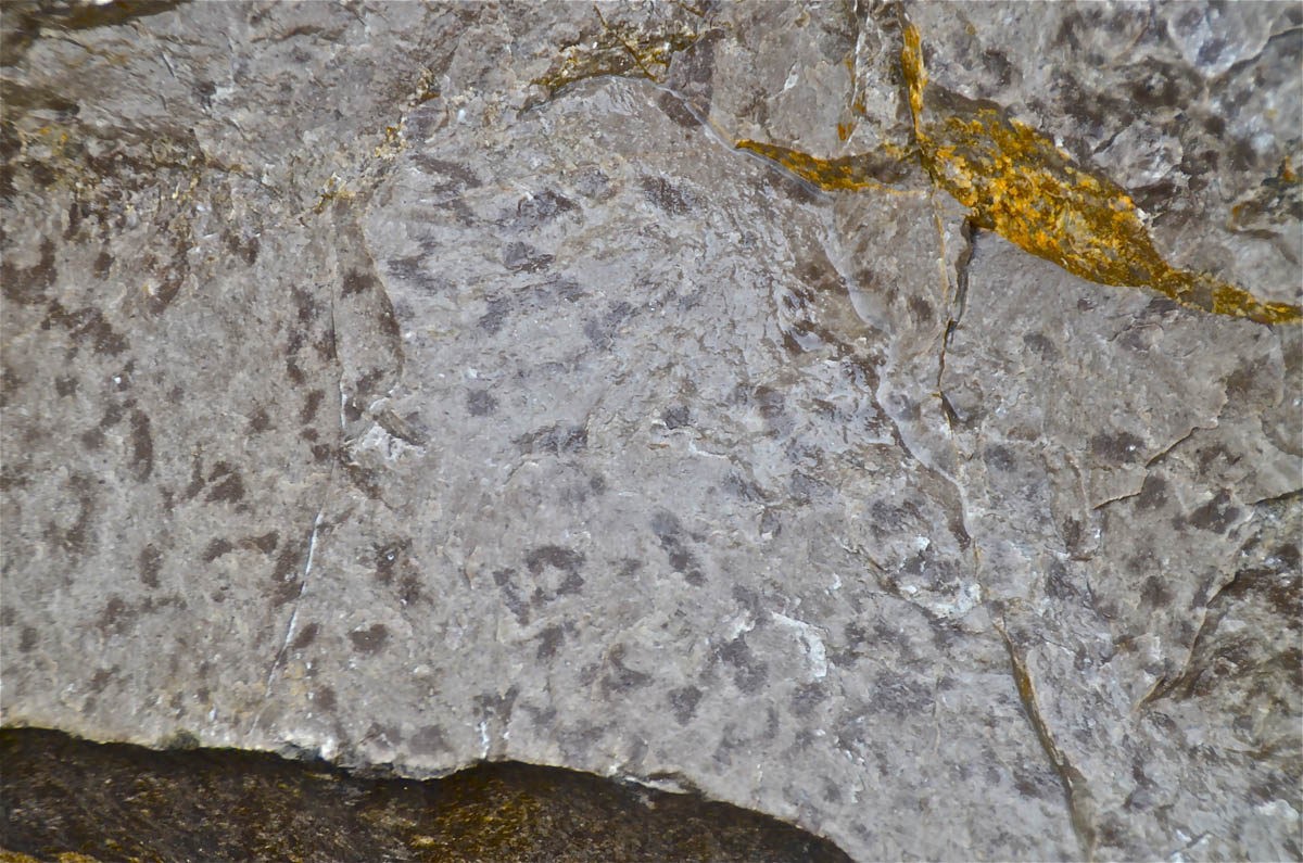 Dolomite limestone around Kettlewell